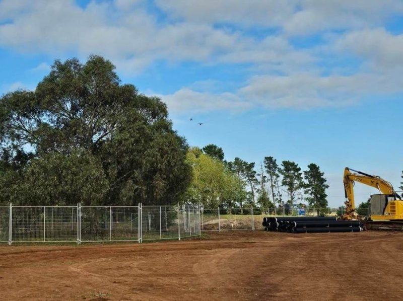 241209 plumptonps construction tree protection zone